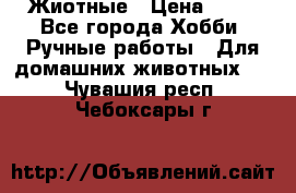 Жиотные › Цена ­ 50 - Все города Хобби. Ручные работы » Для домашних животных   . Чувашия респ.,Чебоксары г.